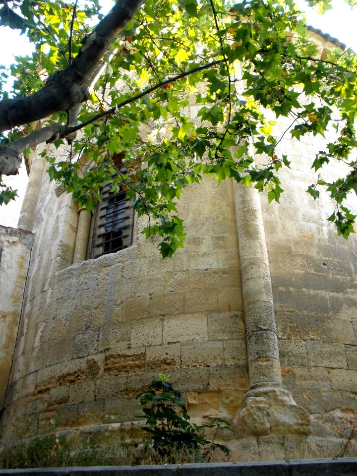 Segovia - Santo Tomas 05