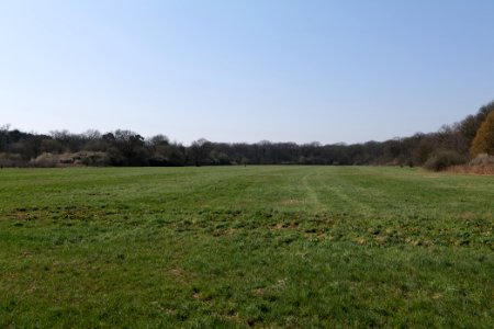 Schwanheimer Wiese 2020-03-27 04