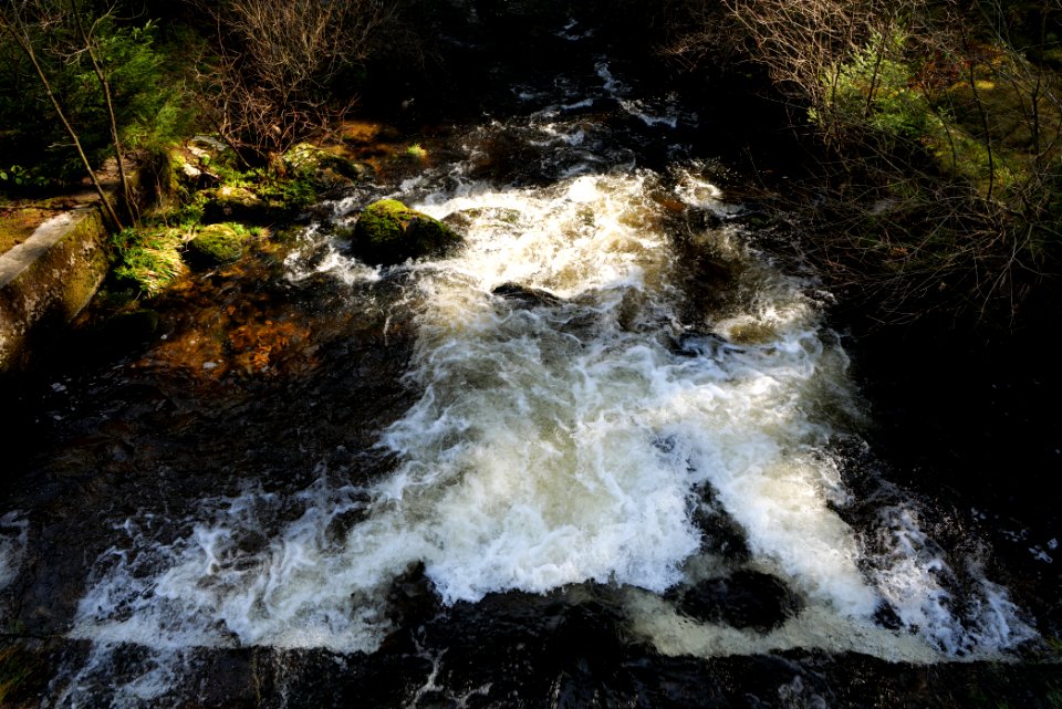 Schwarzenbach Northern Black Forest 2020-03-15 10