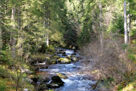 Schwarzenbach Northern Black Forest 2020-03-15 09