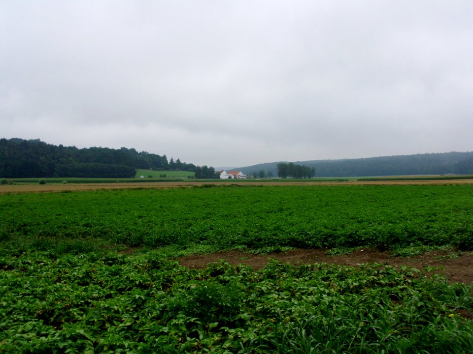 Sechenfahrtmühle im Schuttertal