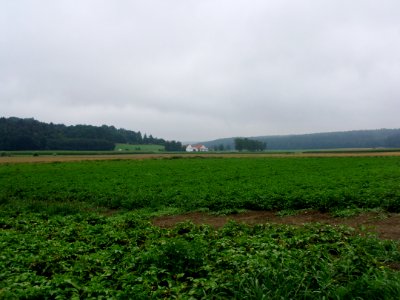 Sechenfahrtmühle im Schuttertal