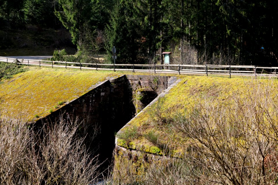 Schwarzenbach Herrenwieser Schwallung 2020-03-15 08