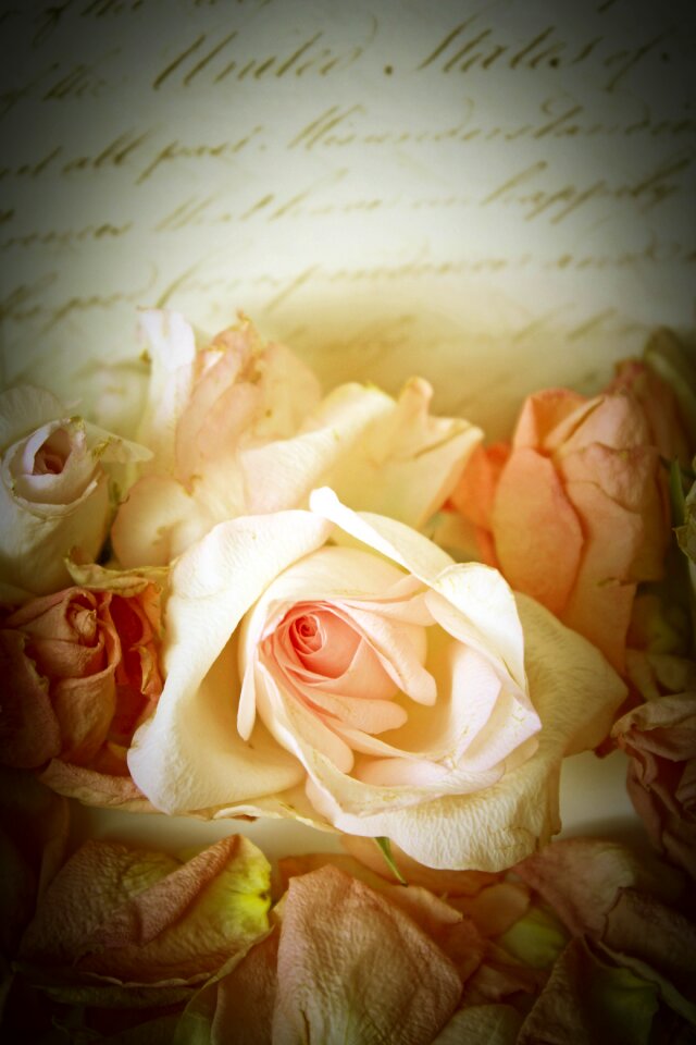 Romantic background decoration