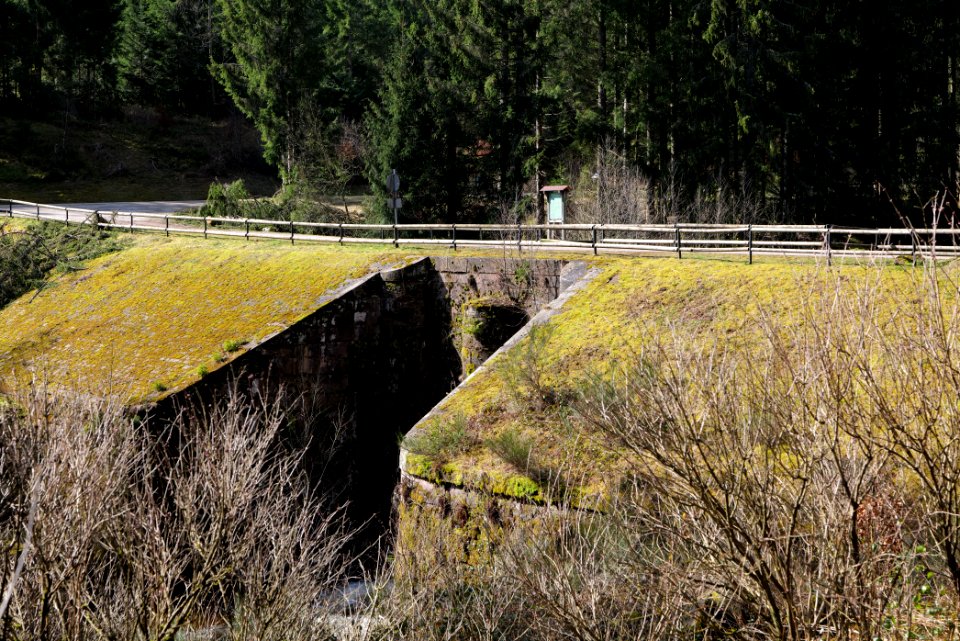 Schwarzenbach Herrenwieser Schwallung 2020-03-15 10