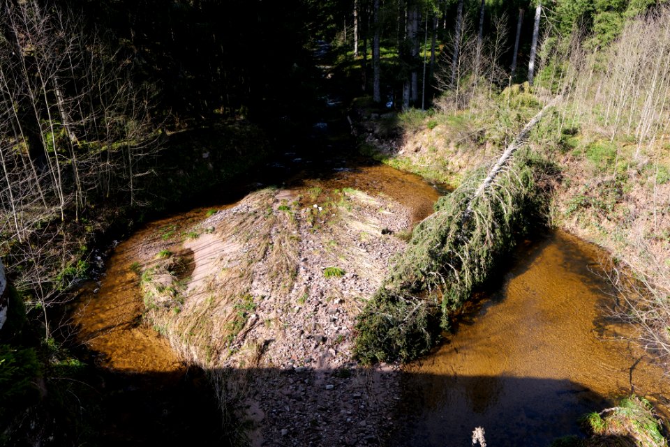 Schwarzenbach Herrenwieser Schwallung 2020-03-15 05