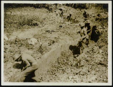 Sappers digging a communication trench near Messines, Bestanddeelnr 158-0719