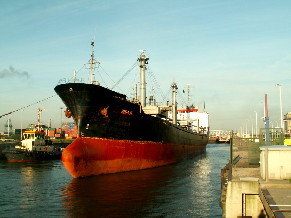 Seba M