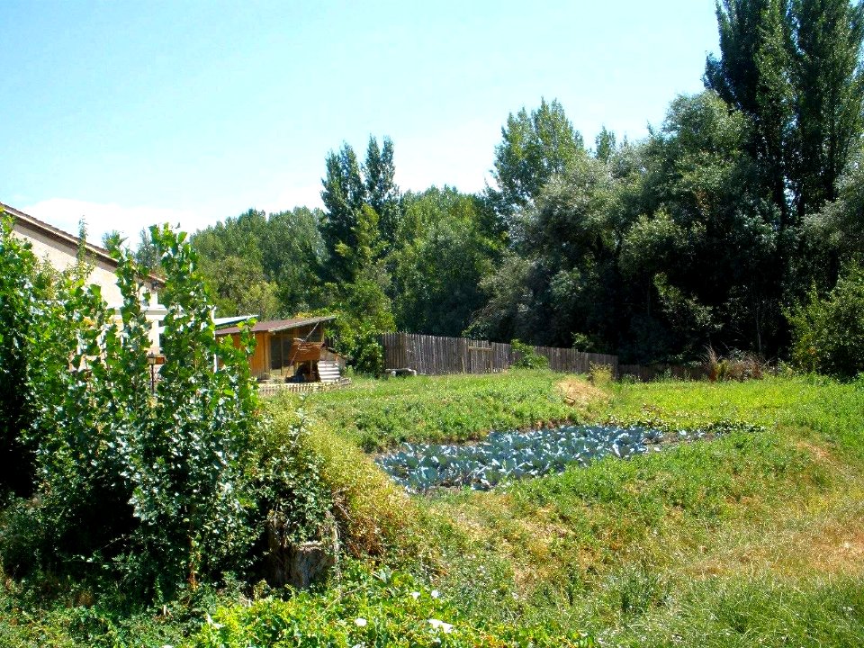 Segovia - La Huerta de San Lorenzo 10