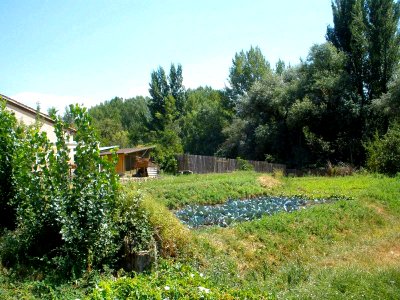Segovia - La Huerta de San Lorenzo 10