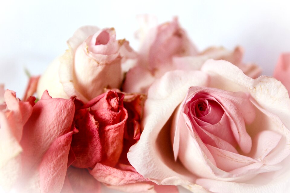 Romantic shabby chic vintage