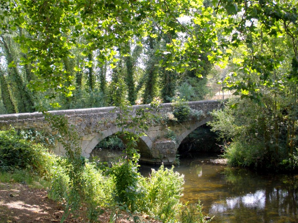 Segovia - Paseo de la Alameda del Parral 18