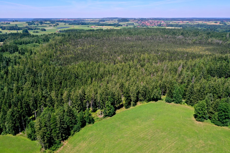 Schwaigwaldmoos luftbild