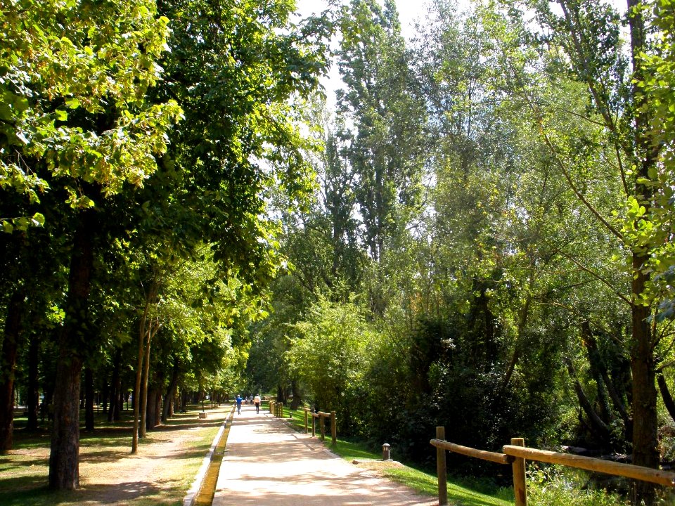 Segovia - Paseo de la Alameda del Parral 16