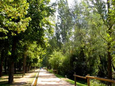 Segovia - Paseo de la Alameda del Parral 16