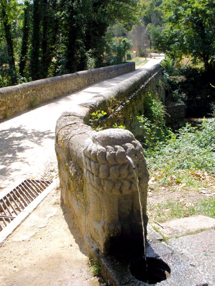 Segovia - Paseo de la Alameda del Parral 20