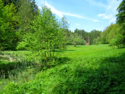 Schwarzbachtal 2