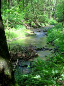 Schwarzbachtal 1