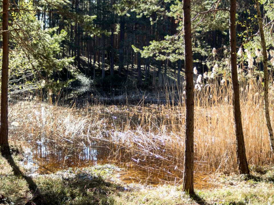 Schwarze Lacke am Ritten