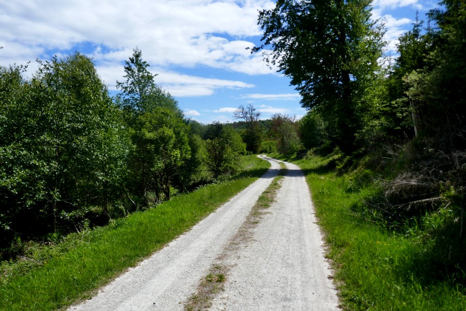 Schwaney - Landdrostenweg