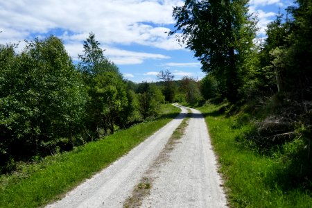 Schwaney - Landdrostenweg