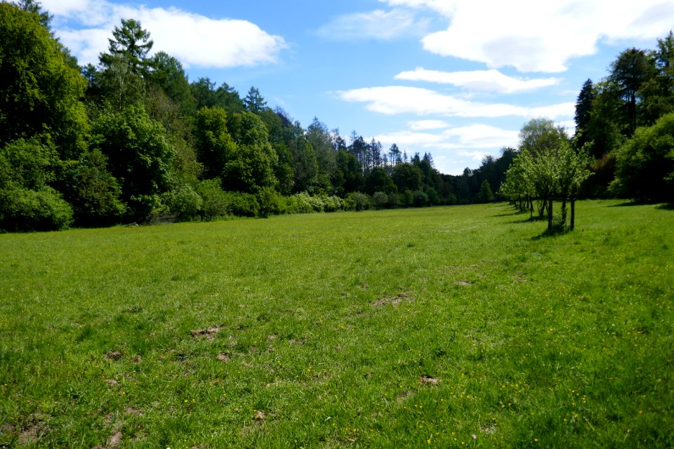 Schwaney - Bodental - 08