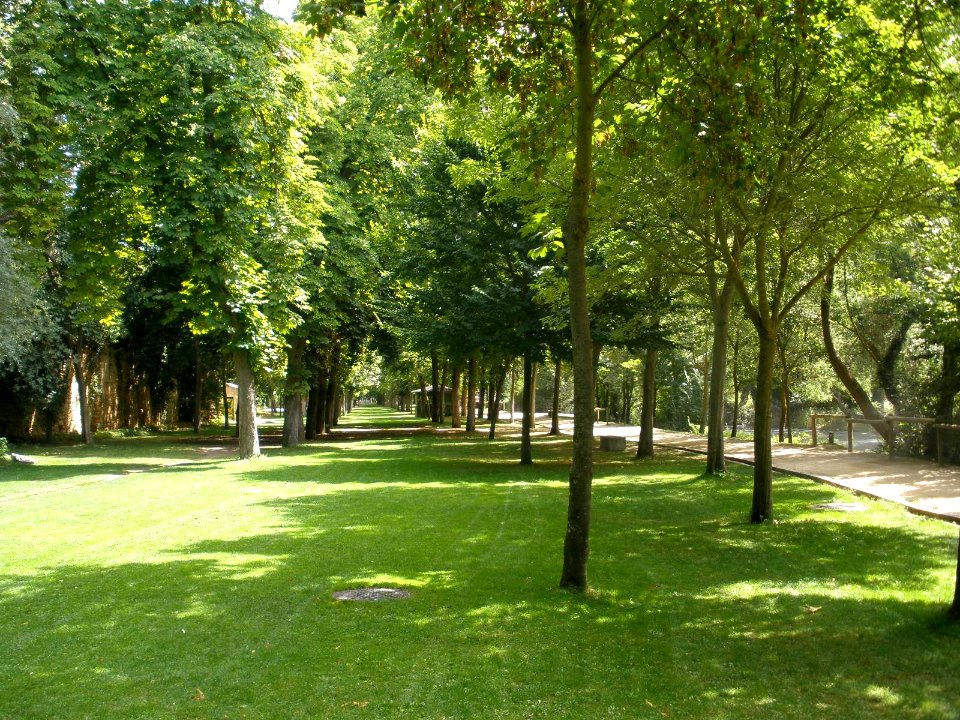 Segovia - Paseo de la Alameda del Parral 12