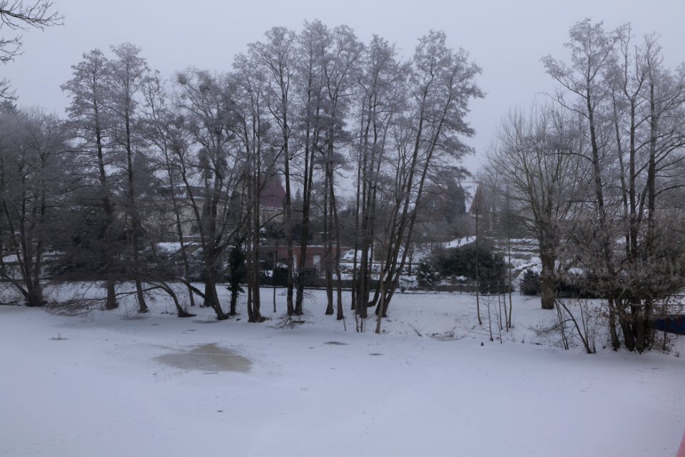 Schwanengraben Dallgow-Döberitz with snow 2021-02-14 12