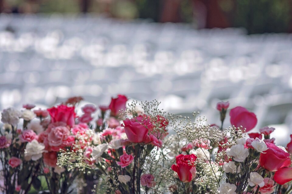 Flower romantic love
