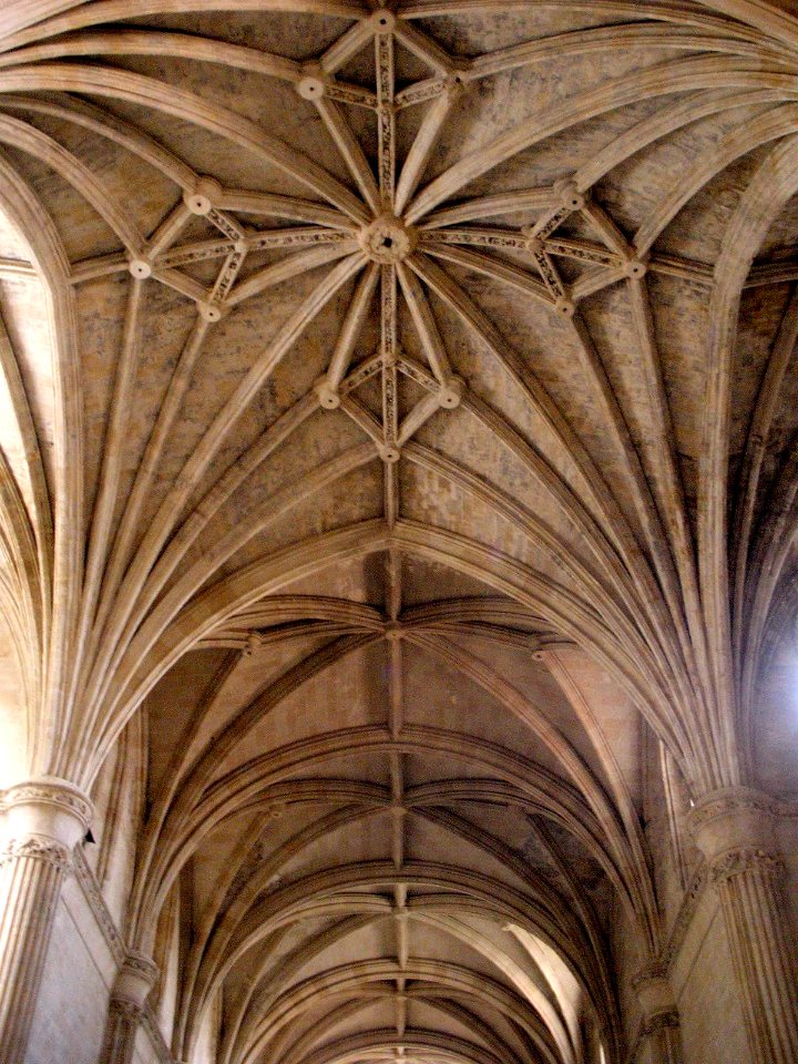 Segovia - Monasterio de Santa Cruz la Real-IE Universidad, iglesia 19