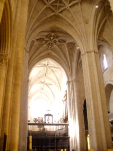 Santo Domingo de la Calzada - Catedral, interior 05