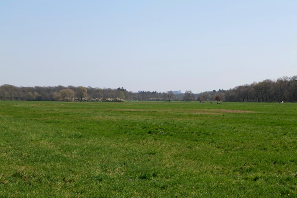 Schwanheimer Wiese 2020-03-27 02