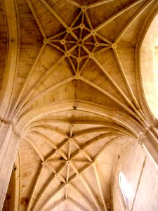 Santo Domingo de la Calzada - Catedral, interior 11