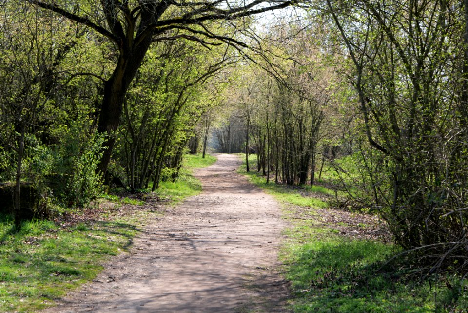 Schwanheimer Düne 2020-03-27 23