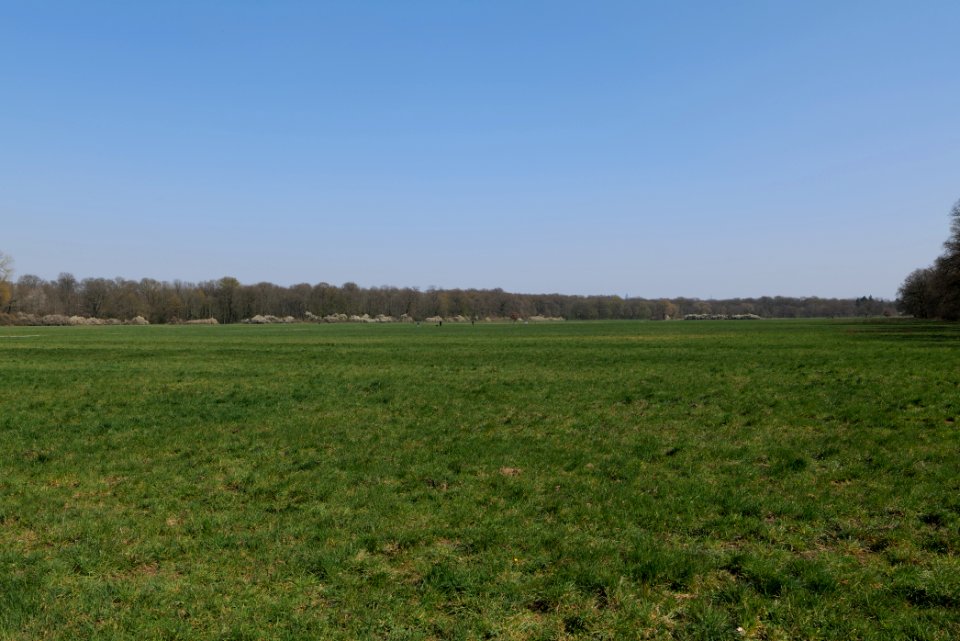 Schwanheimer Wiese 2020-03-27 08