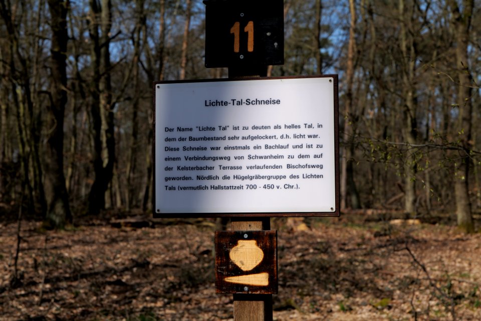 Schwanheimer Wald 2020-03-27 04