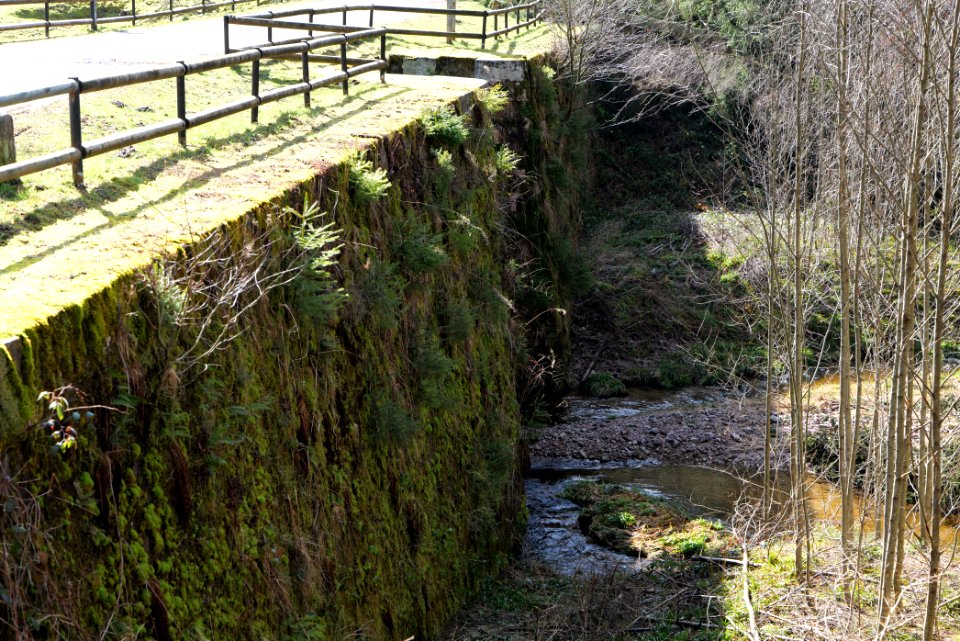 Schwarzenbach Herrenwieser Schwallung 2020-03-15 03