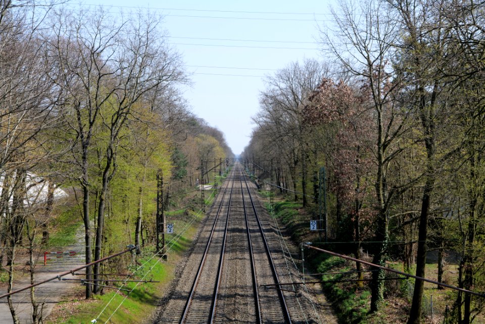 Schwanheimer Wald 2020-03-27 10