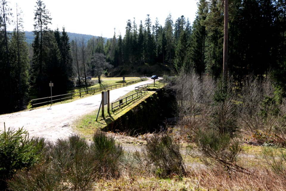 Schwarzenbach Herrenwieser Schwallung 2020-03-15 01
