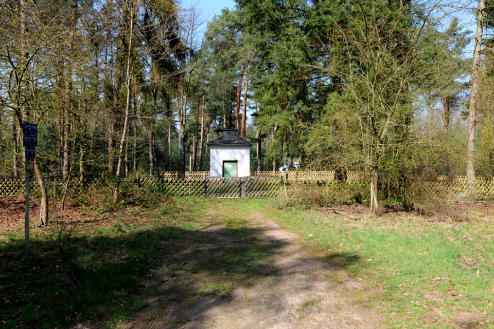 Schwanheimer Wald 2020-03-27 06