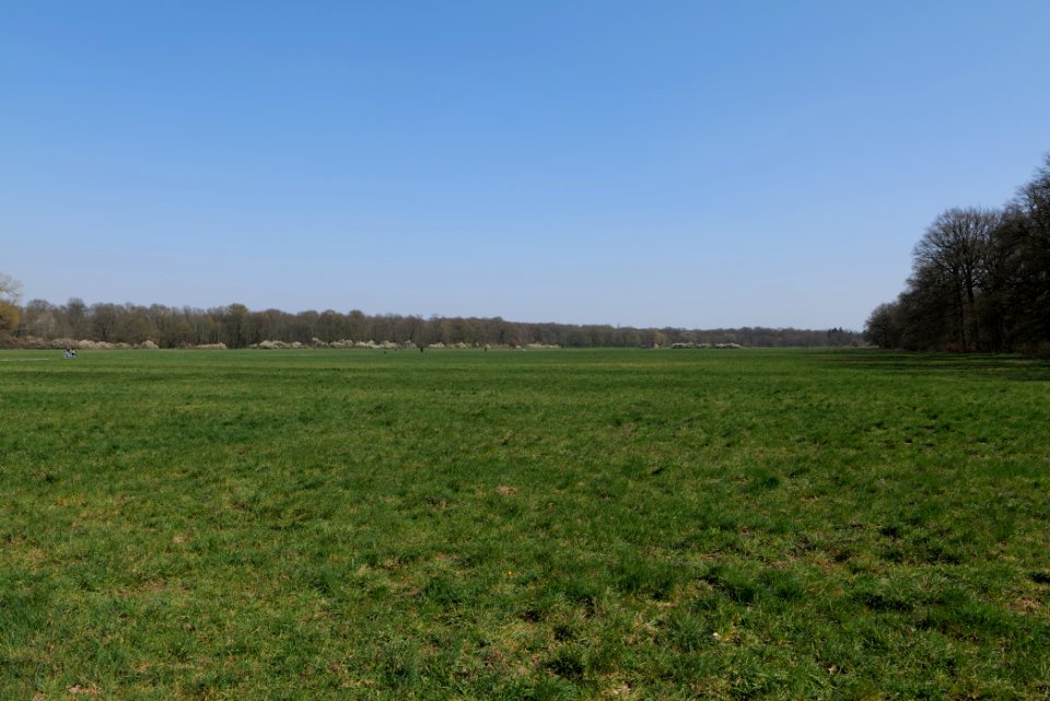 Schwanheimer Wiese 2020-03-27 05