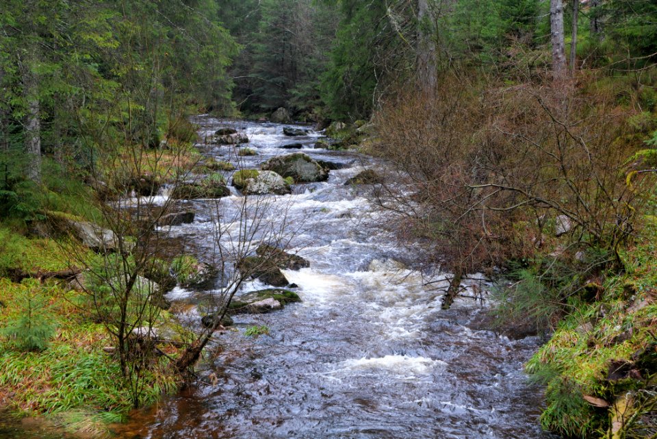 Schwarzenbach Northern Black Forest 2020-03-10 02