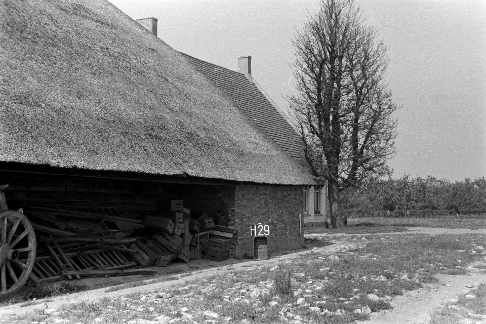 Schuur van boerderij bij Halsteren (ruilverkaveling Halsteren), Bestanddeelnr 170-2454