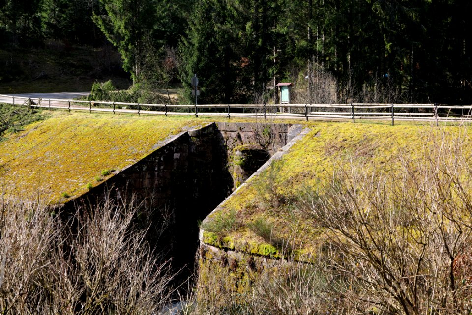 Schwarzenbach Herrenwieser Schwallung 2020-03-15 09