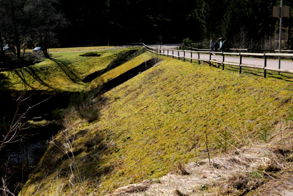 Schwarzenbach Herrenwieser Schwallung 2020-03-15 07