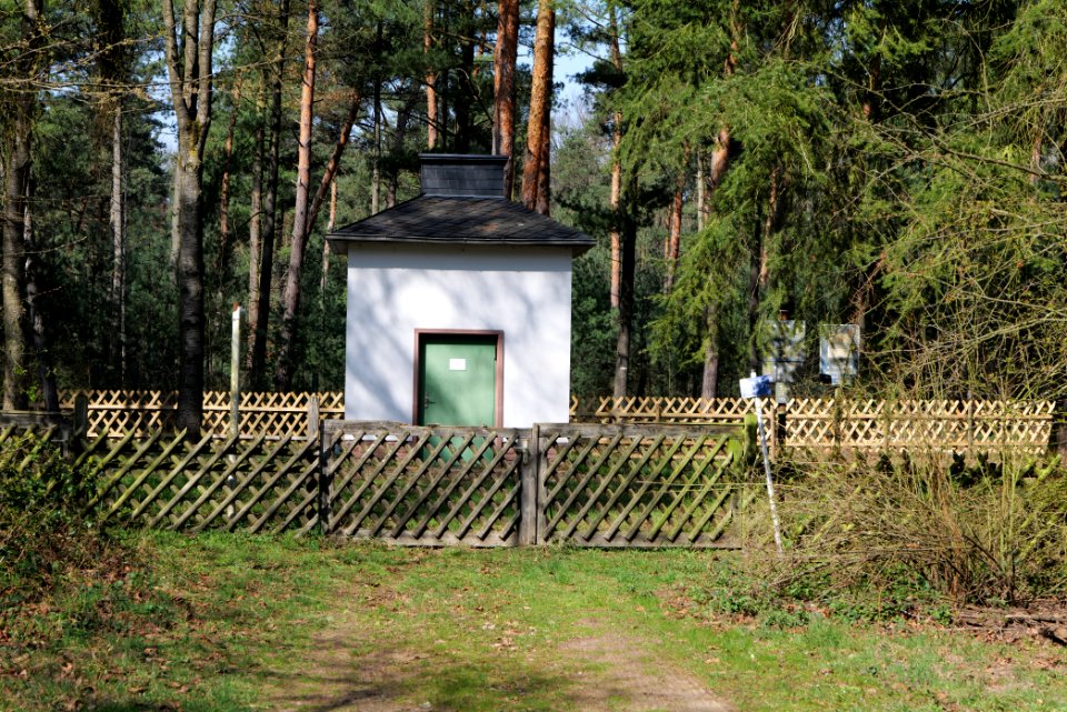 Schwanheimer Wald 2020-03-27 05