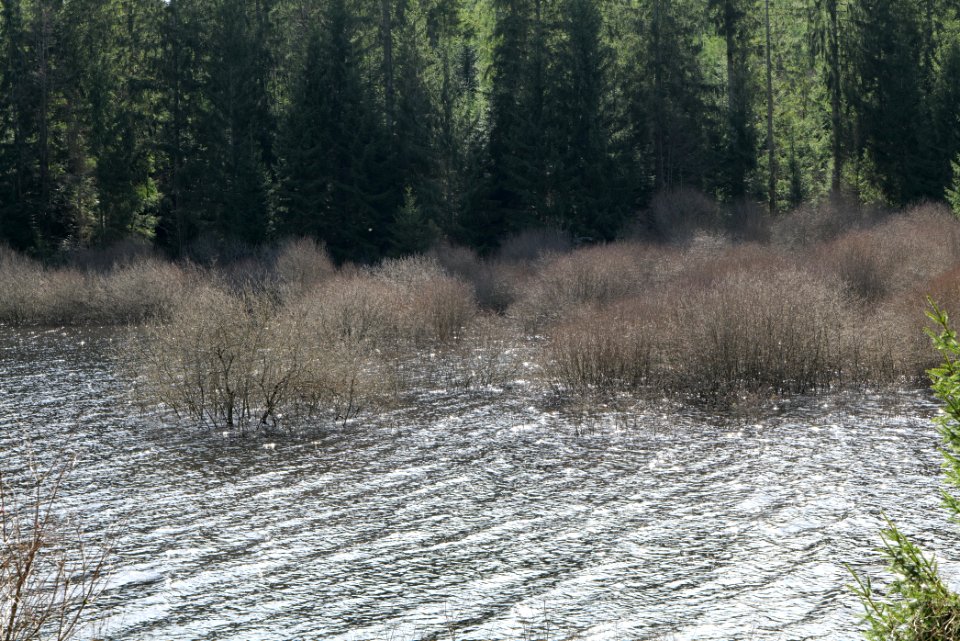 Schwarzenbachtalsperre 2020-03-15 12