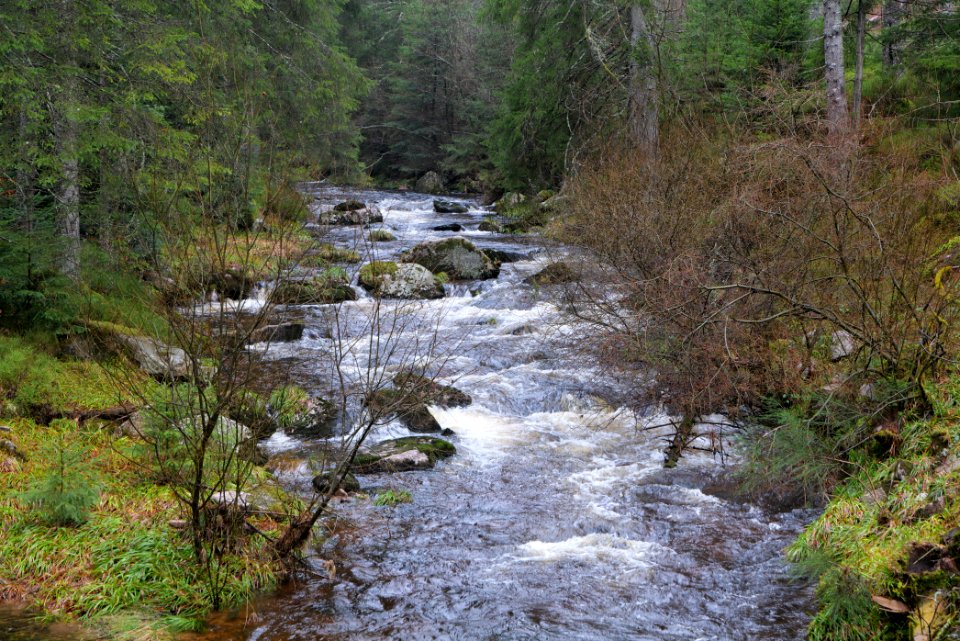Schwarzenbach Northern Black Forest 2020-03-10 03