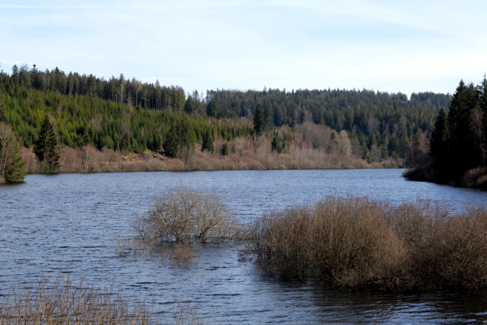 Schwarzenbachtalsperre 2020-03-15 04