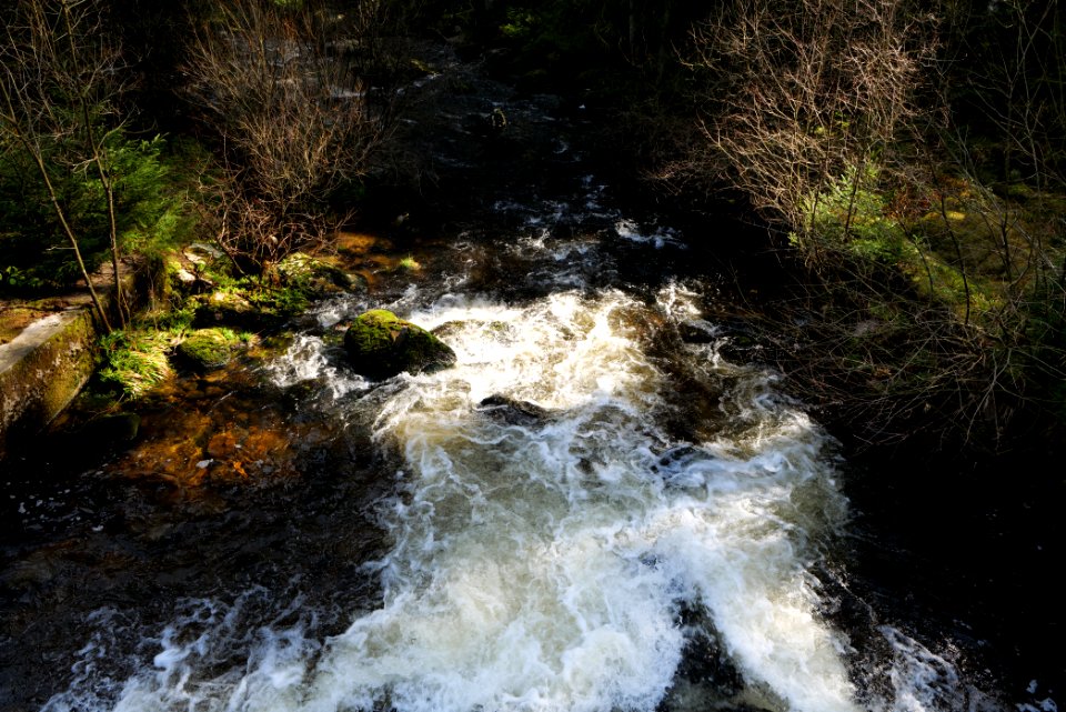 Schwarzenbach Northern Black Forest 2020-03-15 11